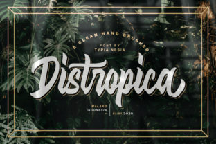 Distropica: The Modern Typeface for Cohesive Brand Identity