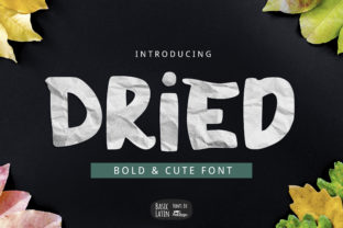 Dried: A Bold Display Font for High-Impact Campaigns