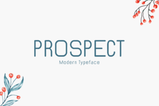Prospect Typeface: A Refined Display Font for Editorial Design